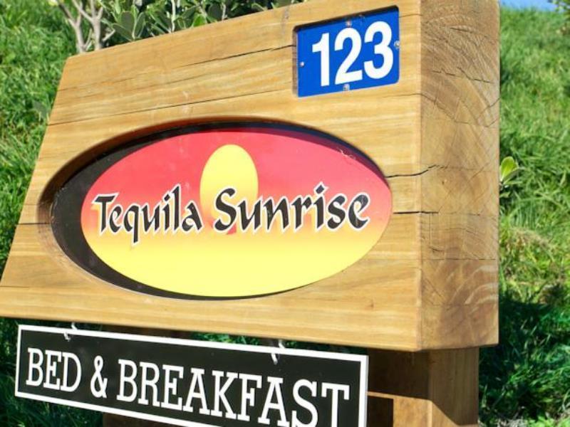 Napier B&B - Tequila Sunrise Eskdale Bagian luar foto